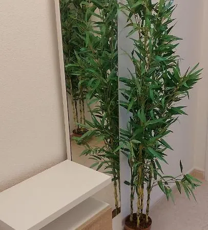Apartamento Selene